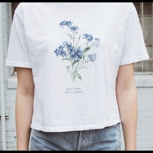 aleena forget me not top